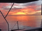 resIMG_20180603_052750_4809.JPG